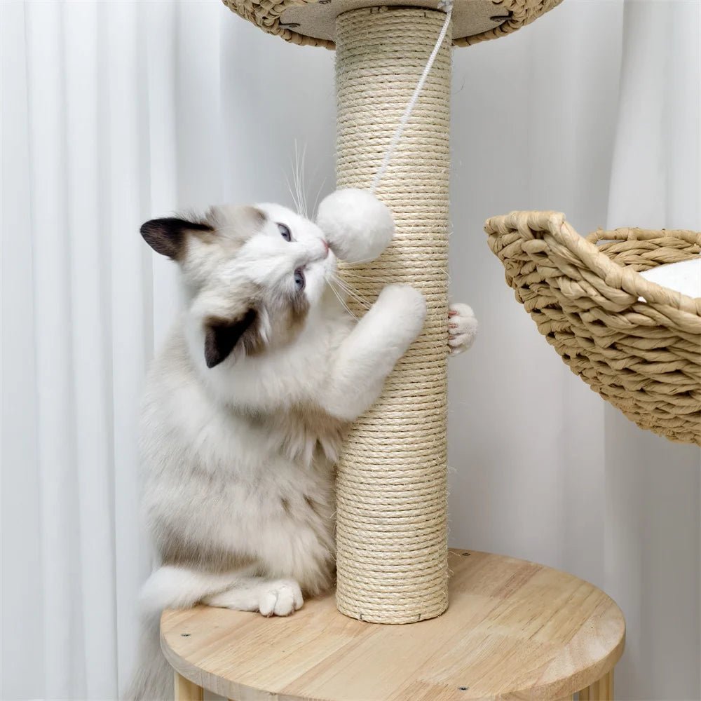 CozyPaws - 3-Tier Cat Tree for Cats with Plush Perches & Sisal Scratching Posts 3