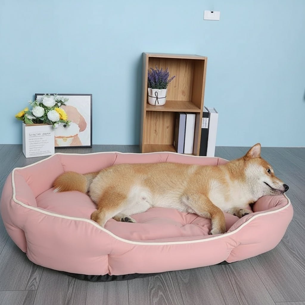 Cozy Haven - Large Dog Bed & Cat Bed with Warm Cushion for Ultimate Comfort 1