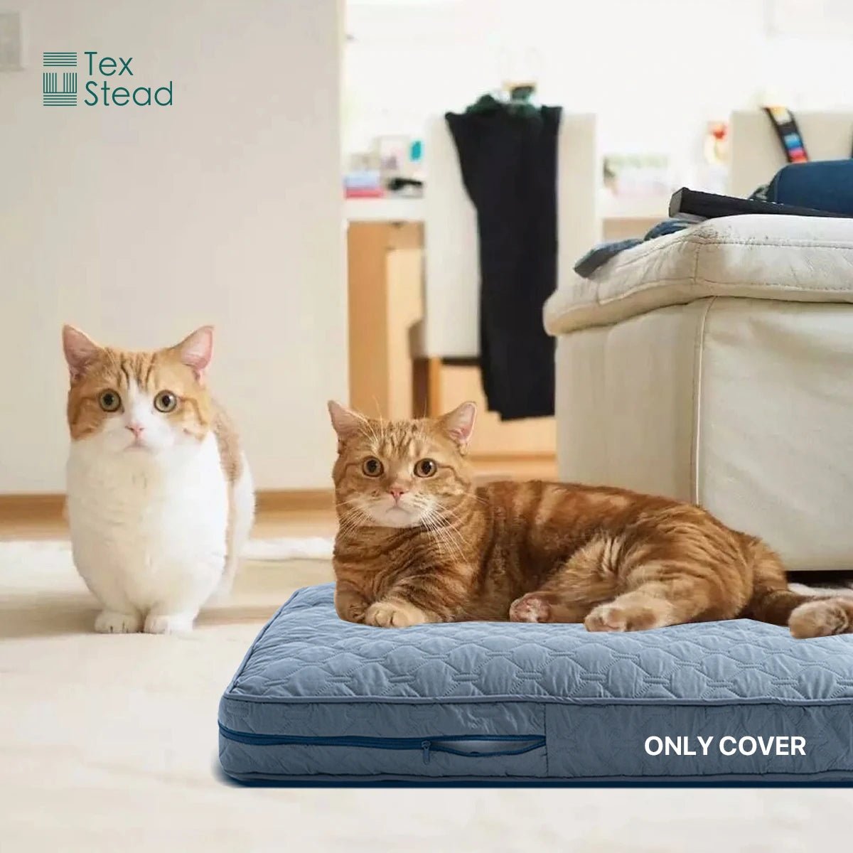 Cozy Orthopedic Dog Bed Cover for Large Dogs - Washable, Waterproof & Soft 3