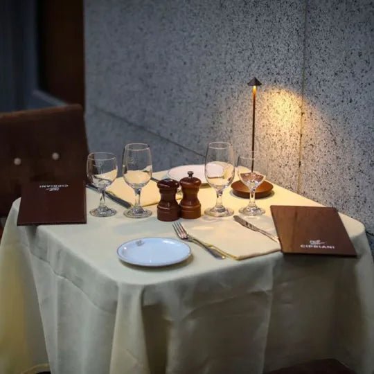 ECOGLOW – Energy-Efficient LED Light with Warm 2700K Illumination