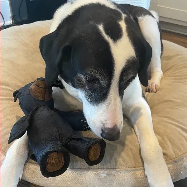 Durable Indestructible Bear Dog Toy for Heavy Chewers - Interactive Squeaker 4