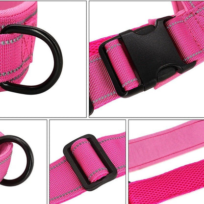 Durable Reflective No Pull Dog Harness | Adjustable Nylon Fit for Small to Medium Dogs 4