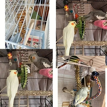 Durable Stainless Steel Parrot Forager Feeder - Spiral Design for Small Pets 5