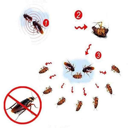 EXTERMINIQ – 3 cockroach gel baits (10g) for effective pest control 4