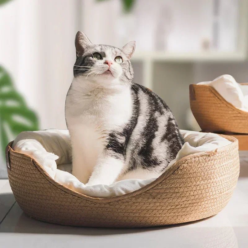 Eco-Friendly Handwoven Cat Bed - Breathable 100% Cotton Design for Indoor Cats 2
