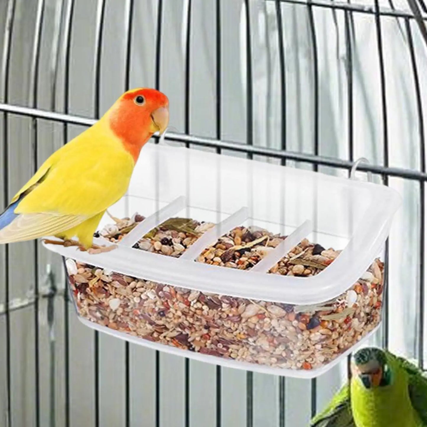 Eco-Friendly Parrot Feeder - Splash-Proof Bird Food Bowl with 360-Degree Visibility 3