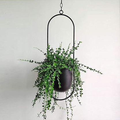 FloraFrame - Modern Minimalist Wall Plant Hanger with Adjustable Chain 0