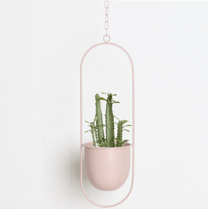 FloraFrame - Modern Minimalist Wall Plant Hanger with Adjustable Chain 3