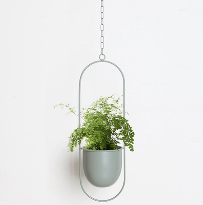 FloraFrame - Modern Minimalist Wall Plant Hanger with Adjustable Chain 4