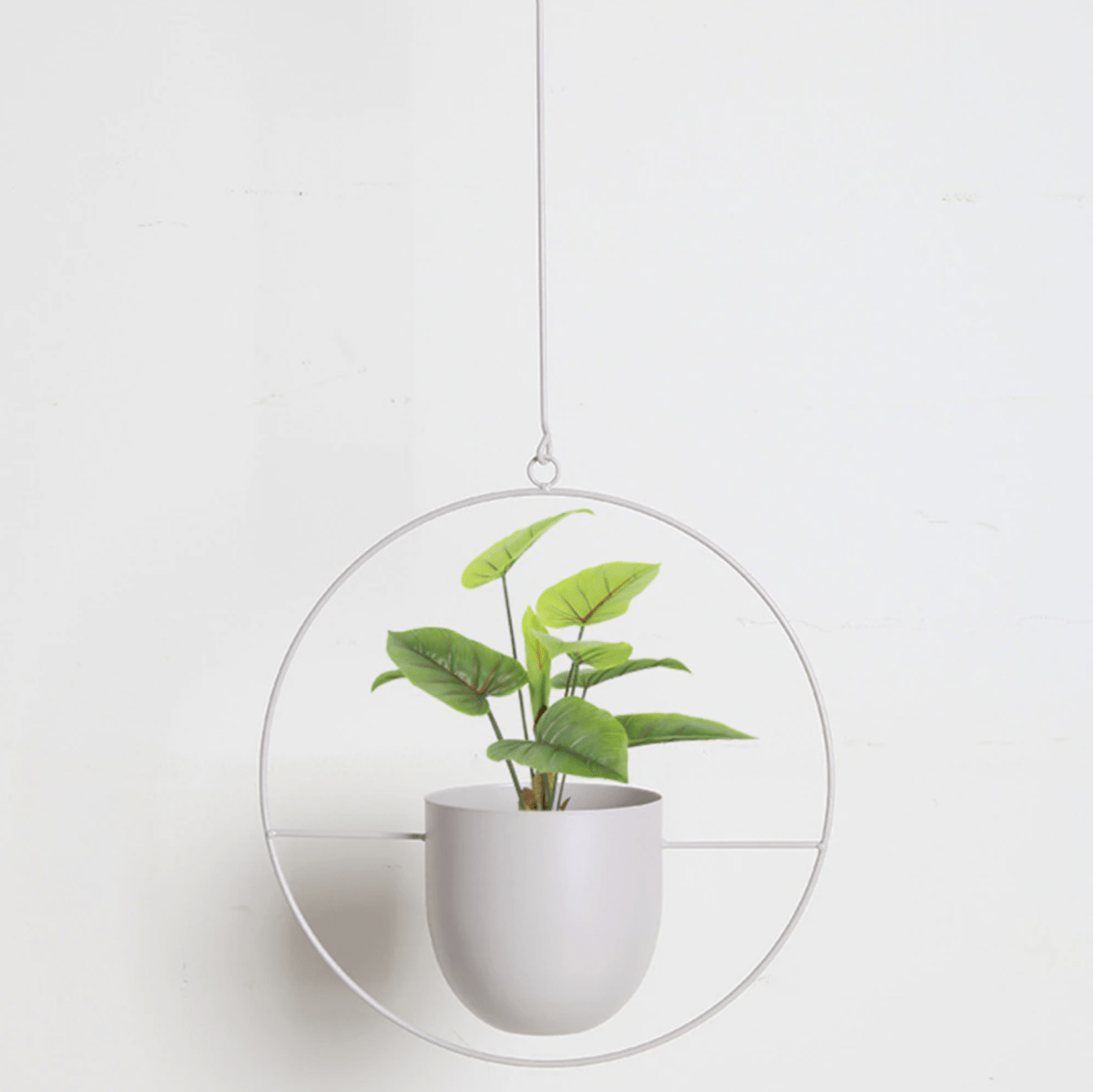 FloraFrame - Modern Minimalist Wall Plant Hanger with Adjustable Chain 5