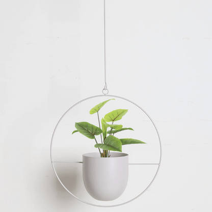 FloraFrame - Modern Minimalist Wall Plant Hanger with Adjustable Chain 5