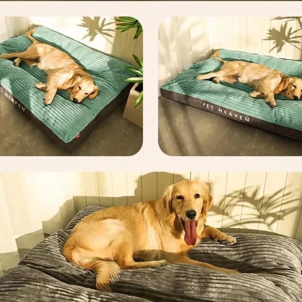FluschNest orthopaedic dog bed - Cosy & supportive for restful nights 2