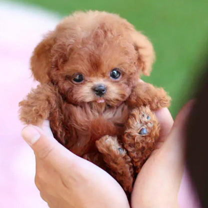 FurMotion Friend – Lifelike Plush Dog for Kids & Collectors 0