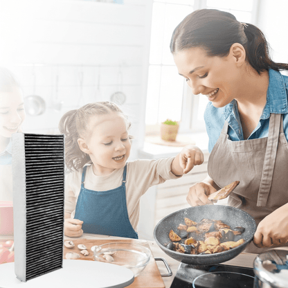 EXTRACTOR RENEW – Activated Carbon Odor Neutralization