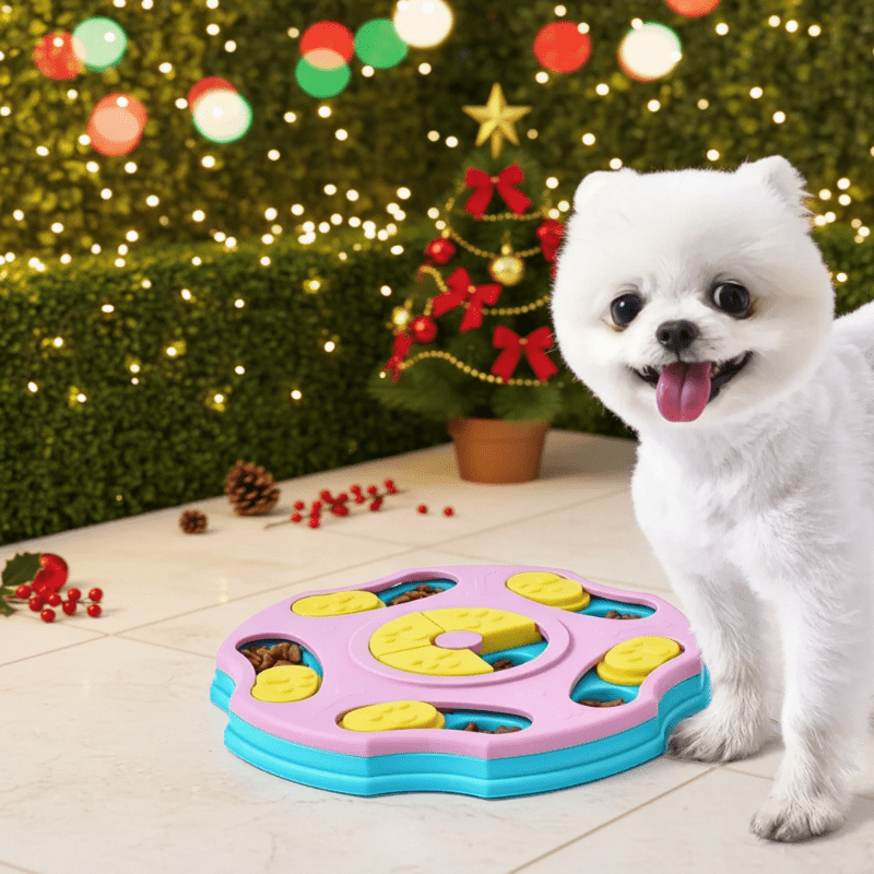PAWQUEST PUZZLER – Slow Feeder Toy for Mental Stimulation & Smart Play