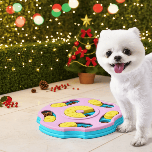PAWQUEST PUZZLER – Slow Feeder Toy for Mental Stimulation & Smart Play