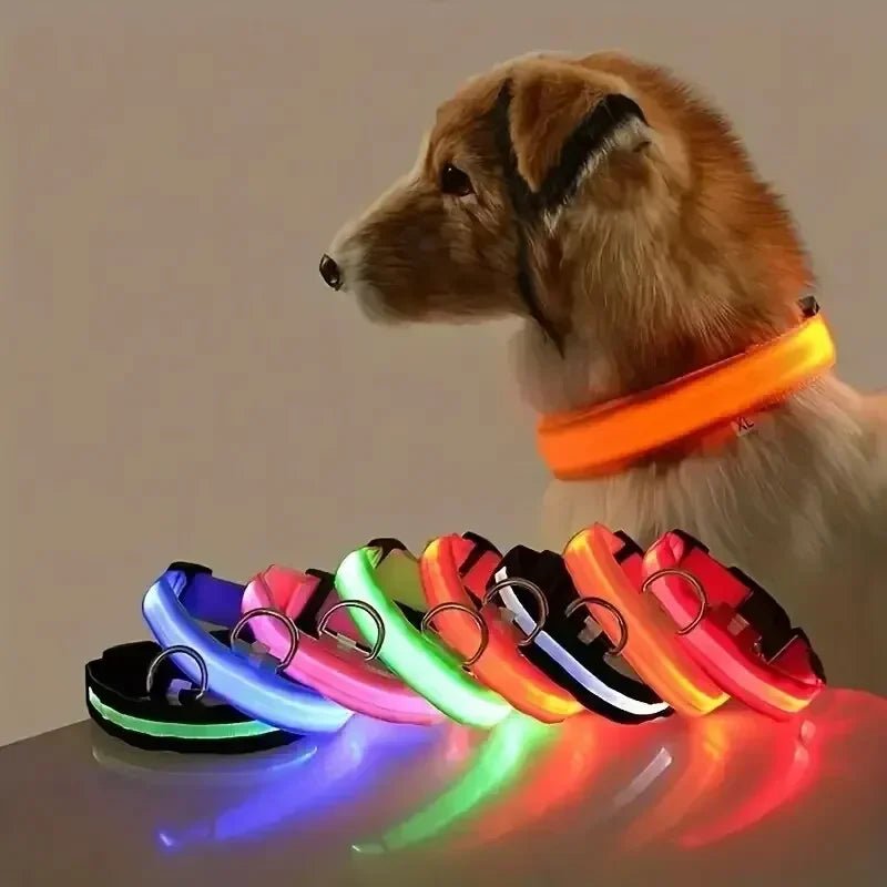 GlowBright LED Dog Collar - High Visibility, Adjustable Fit, 3 Flash Modes 0