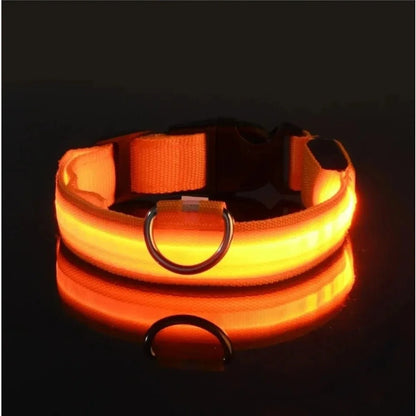 GlowBright LED Dog Collar - High Visibility, Adjustable Fit, 3 Flash Modes 10