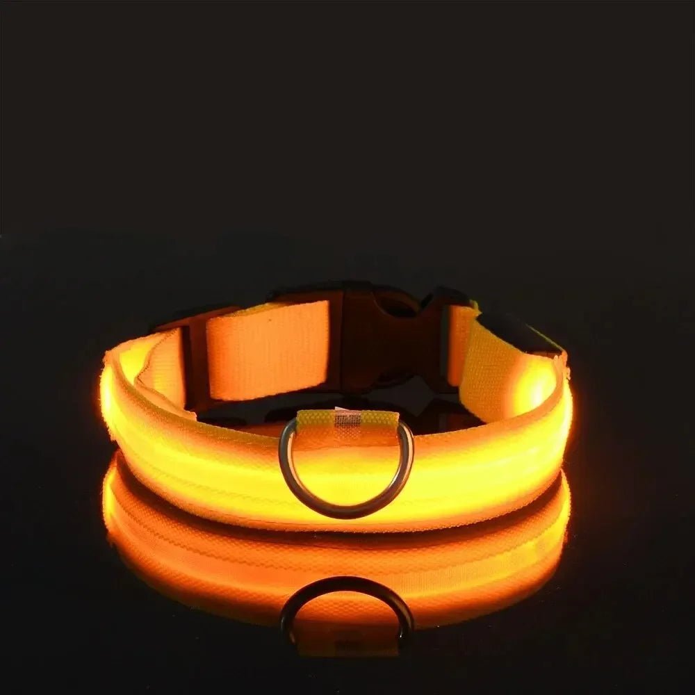 GlowBright LED Dog Collar - High Visibility, Adjustable Fit, 3 Flash Modes 11