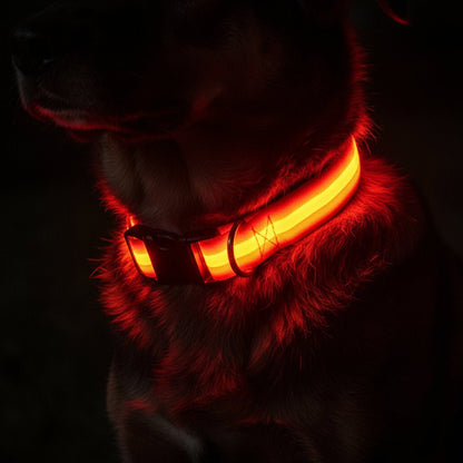 GlowBright LED Dog Collar - High Visibility, Adjustable Fit, 3 Flash Modes 12