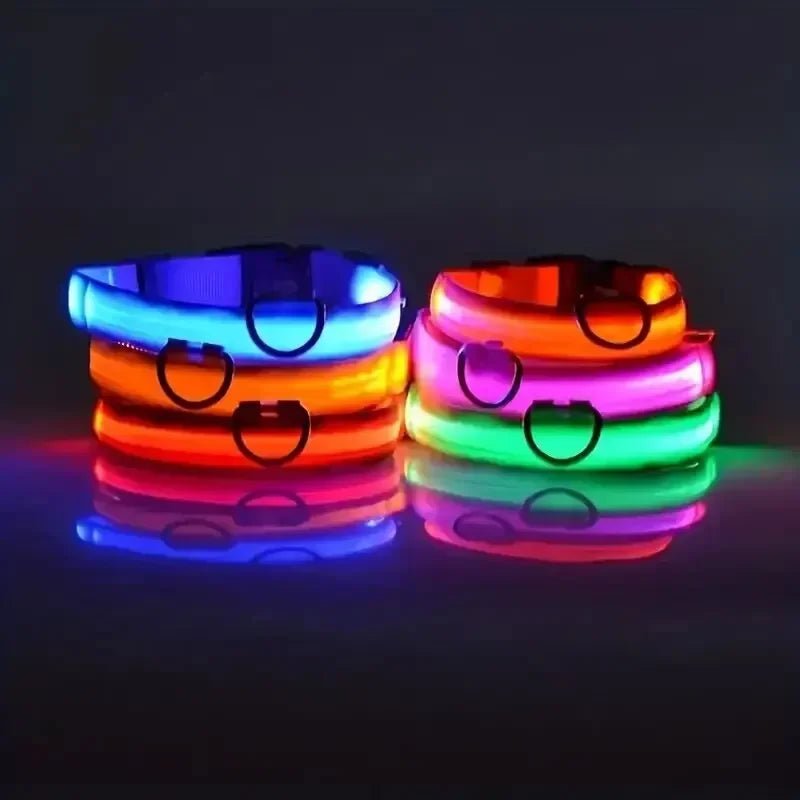 GlowBright LED Dog Collar - High Visibility, Adjustable Fit, 3 Flash Modes 3