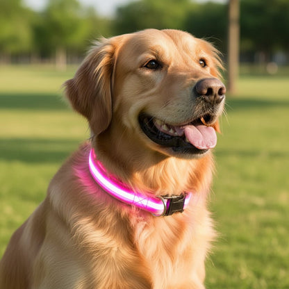 GlowBright LED Dog Collar - High Visibility, Adjustable Fit, 3 Flash Modes 6