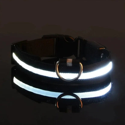 GlowBright LED Dog Collar - High Visibility, Adjustable Fit, 3 Flash Modes 7