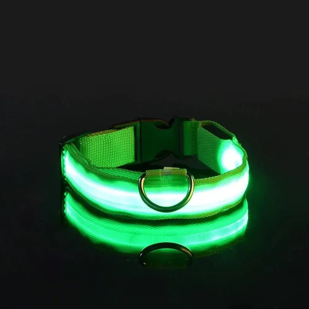 GlowBright LED Dog Collar - High Visibility, Adjustable Fit, 3 Flash Modes 8