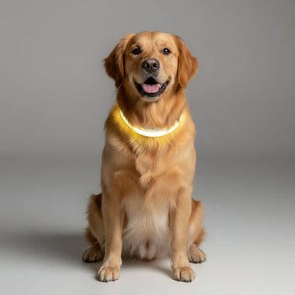 BARKBRIGHT – Rechargeable LED Leash with Comfortable Ergonomic Handle