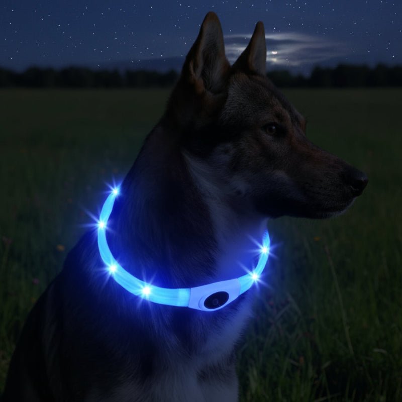 LED Luminous Dog Collar - Waterproof, USB Rechargeable, Adjustable, Multiple Colors 0