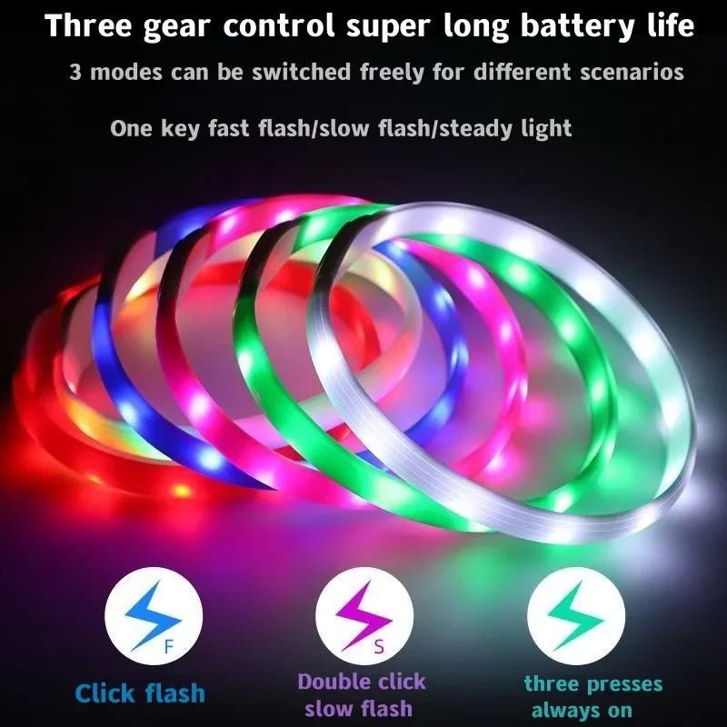 LED Luminous Dog Collar - Waterproof, USB Rechargeable, Adjustable, Multiple Colors 2