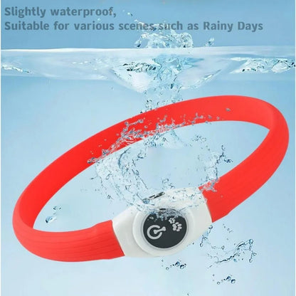 LED Luminous Dog Collar - Waterproof, USB Rechargeable, Adjustable, Multiple Colors 4