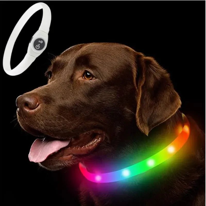 LED Luminous Dog Collar - Waterproof, USB Rechargeable, Adjustable, Multiple Colors 8