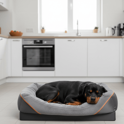 LEVAPET – Waterproof orthopedic dog bed with raised cushion & memory foam support 4