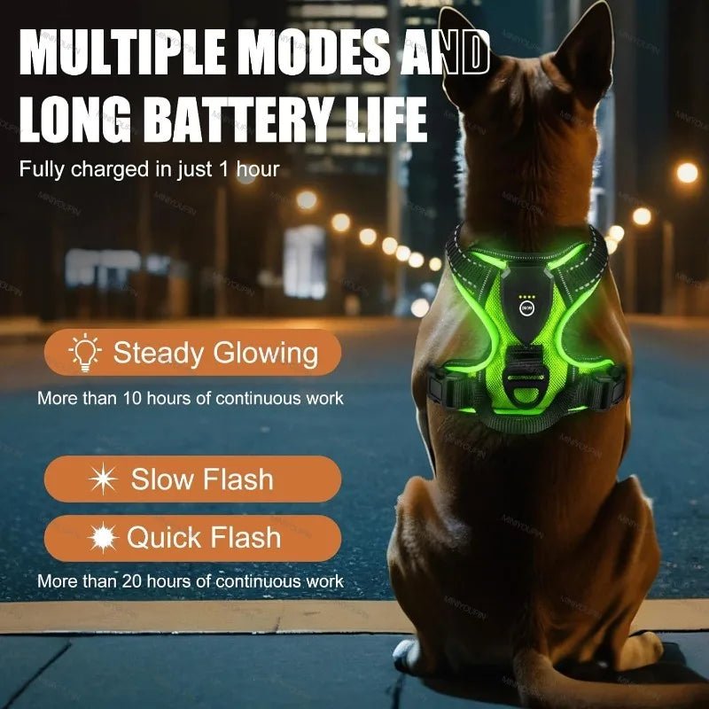 Luminous LED Dog Harness - Rechargeable Safety Vest with 3 Light Modes 1