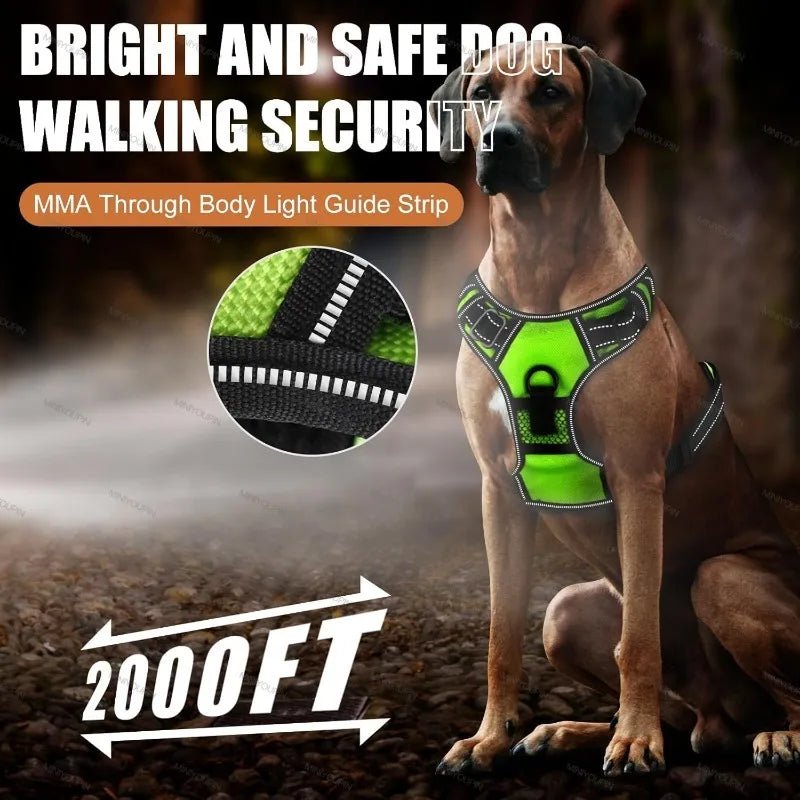 Luminous LED Dog Harness - Rechargeable Safety Vest with 3 Light Modes 2