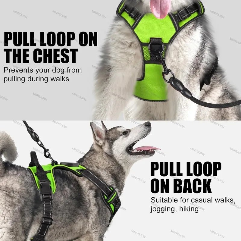 Luminous LED Dog Harness - Rechargeable Safety Vest with 3 Light Modes 5