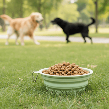 CLAUDE TRAVEL BOX – Foldable food and water bowl for pets