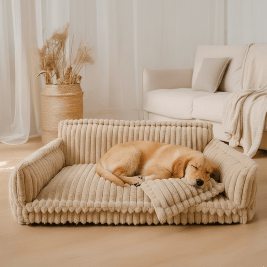 SOFTTAILOR – Orthopedic Dog Bed with Integrated Headrest for Ultimate Comfort
