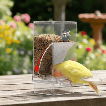 DRIPSHIELD – Automatic Bird Feeder with Spill-Proof, Splash-Proof Outdoor Housing
