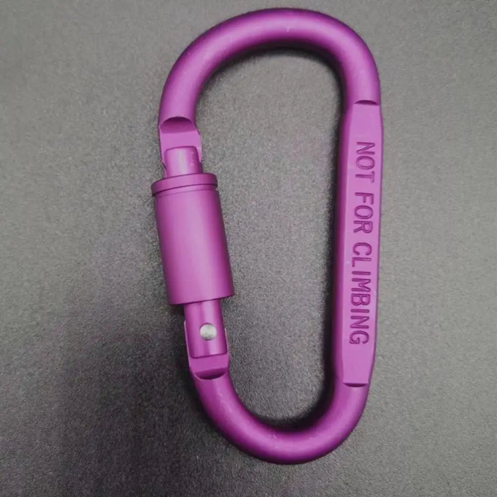 Multicolor Aluminium Alloy D-Shape Carabiner Keychain with Locking Mechanism for Outdoor Activities 10