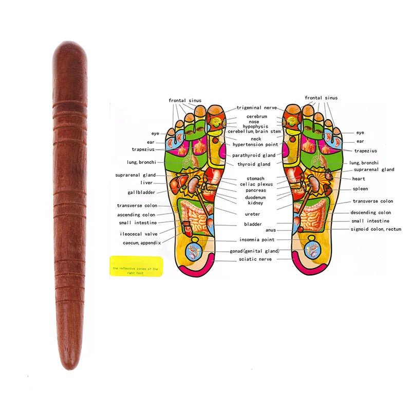 Natural Wooden Acupoint Massage Stick for Foot Reflexology & Meridian Therapy 2