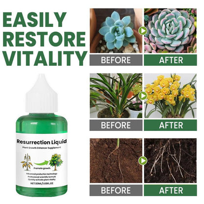PLANTVITAL – Growth & Recovery Liquid for Stronger, Healthier Plants 3