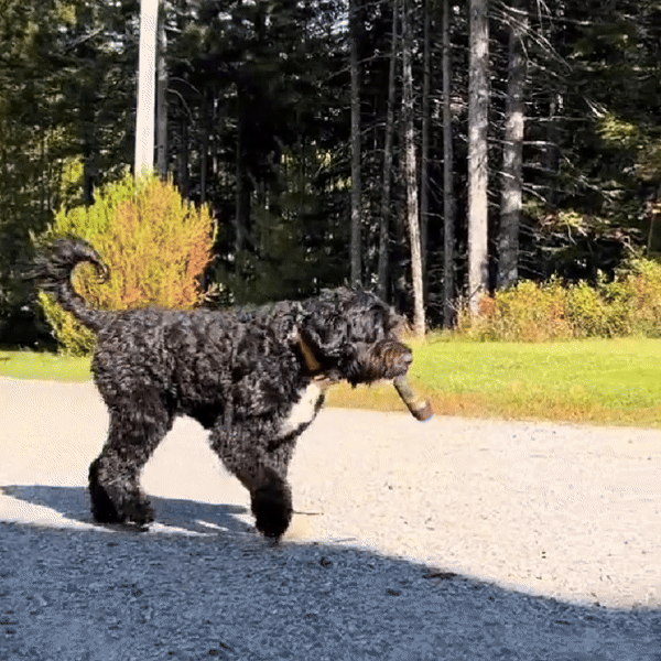 PUFF & PAWS – Plush Joint Toy for Playful Pups 1