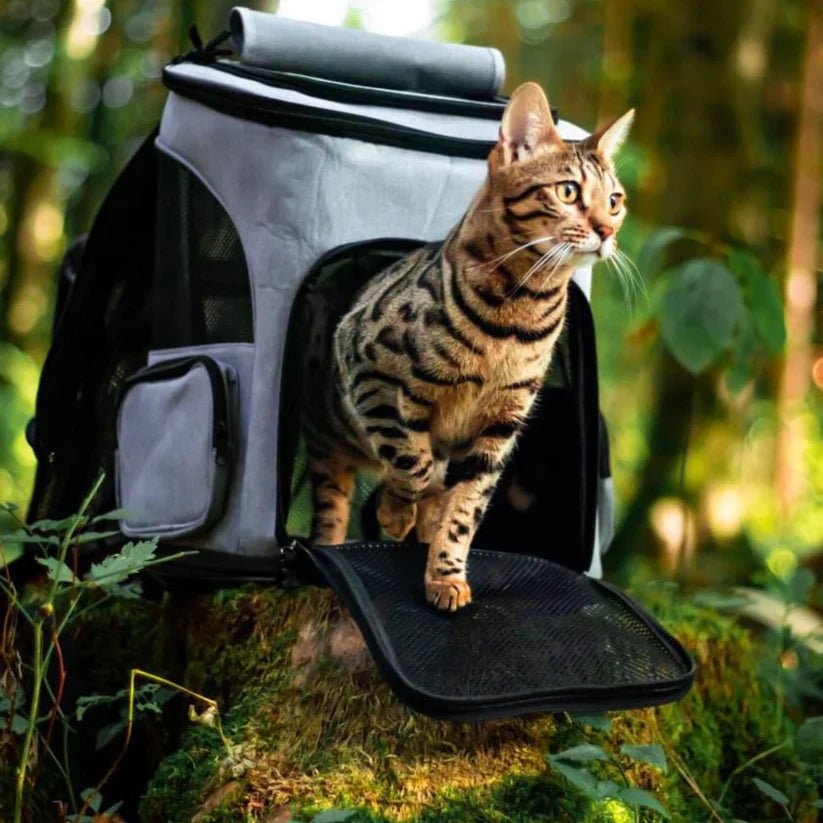 Portable Cat Backpack with Ventilation & Viewing Window - Comfortable Travel for Cats 1