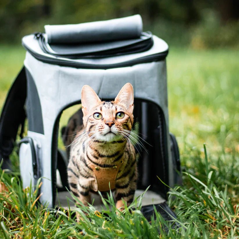 Portable Cat Backpack with Ventilation & Viewing Window - Comfortable Travel for Cats 5