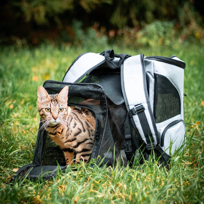 Portable Cat Backpack with Ventilation & Viewing Window - Comfortable Travel for Cats 6