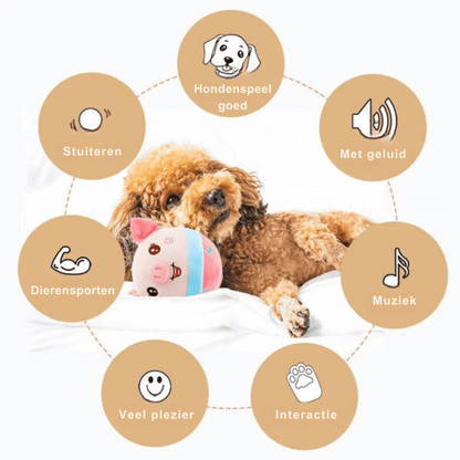 Rover Active Moving Dog Toy | Smart Interactive Ball | Automatic Motion Toy for Dogs | Rechargeable | Pet Exercise & Fun 3