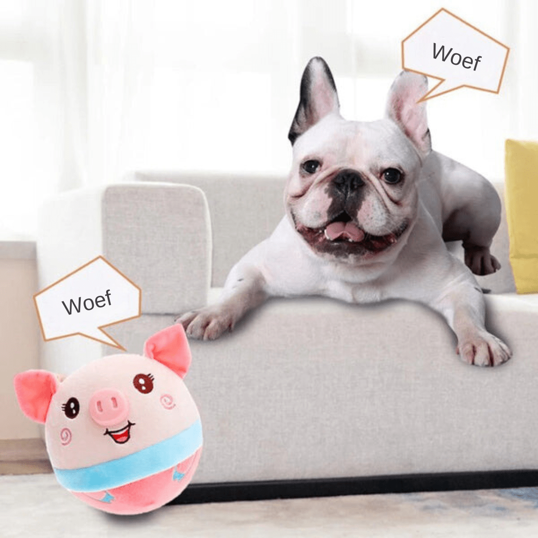 Rover Active Moving Dog Toy | Smart Interactive Ball | Automatic Motion Toy for Dogs | Rechargeable | Pet Exercise & Fun 4