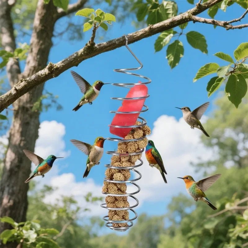 SPIRAFEED – Durable Stainless Steel Parrot Forager Feeder